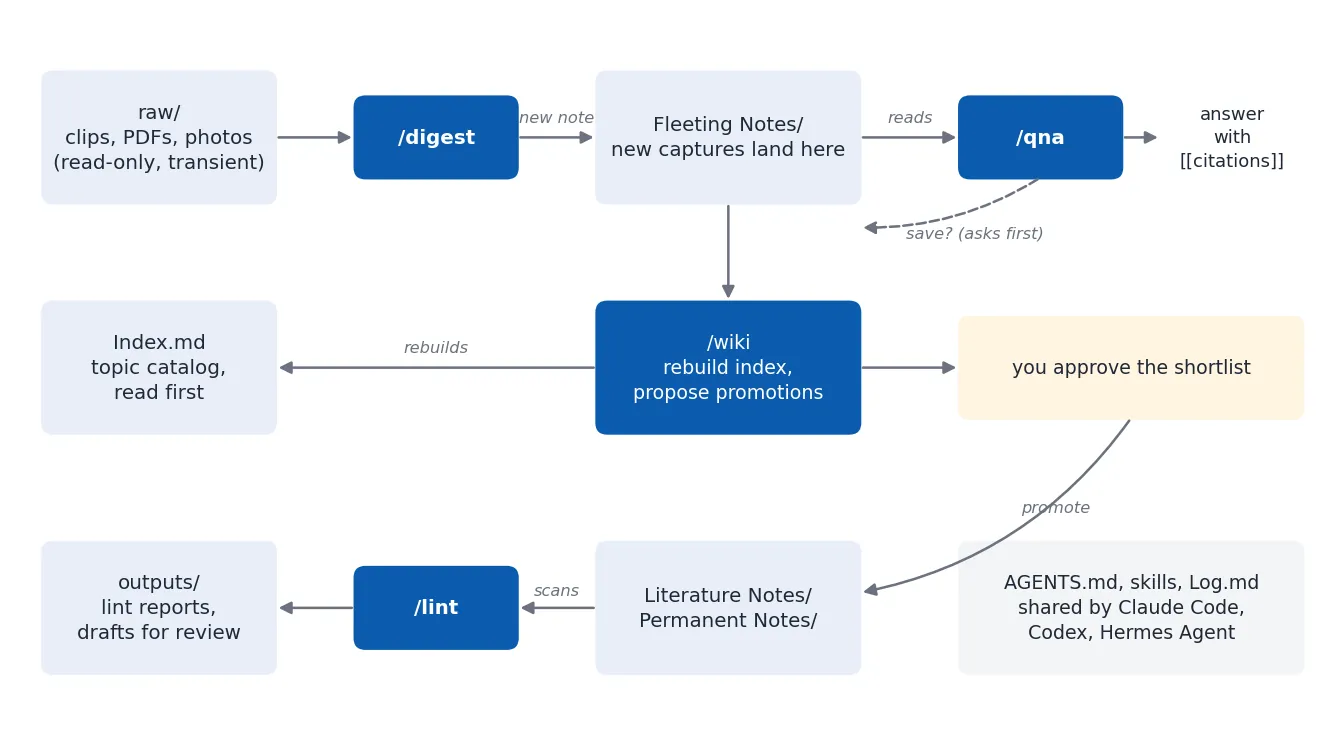 Data flow of the vault: the digest skill turns raw sources into fleeting notes, qna answers from the index and notes, wiki rebuilds the index and proposes promotions you approve, and lint scans notes into reports